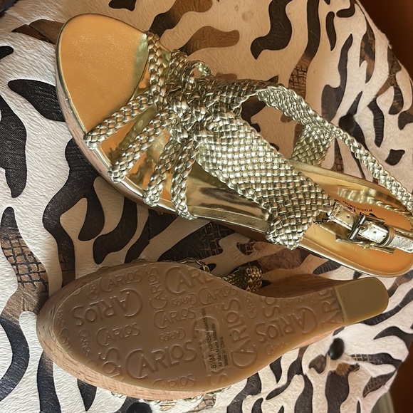 Carlos Santana Horizon Sandal - Picture 3 of 4